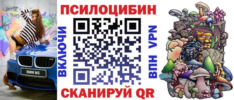 mega   Менделеевск  Галлюциногенные грибы Cubensis 