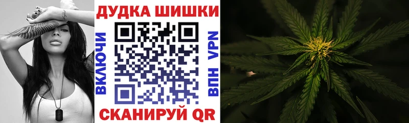 где найти наркотики  Менделеевск  Бошки Шишки SATIVA & INDICA 